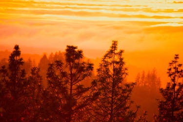 Fog Fire Sunset