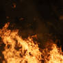 Fires