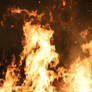 Bright Flame