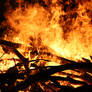 Epic Wood Fire