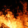 Orange Rich Fire