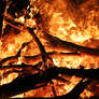 Deep In The Flames