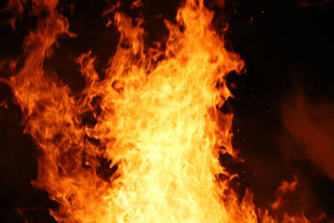 Stunning Flames