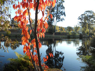 Marysville Lake