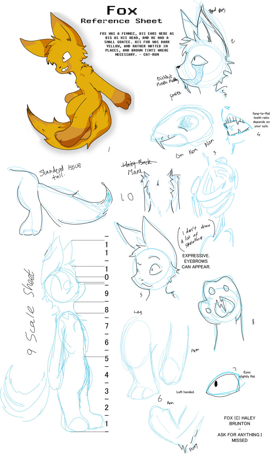 Rot Fox Reference Fox - Reference Sheet by PokeartKid on DeviantArt