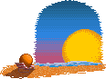 Seaside Sun