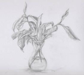 Leaves and vase