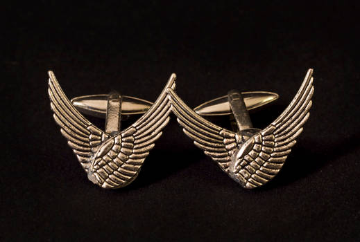 cufflinks - wings