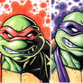 Tmnt-Raph and Donnie