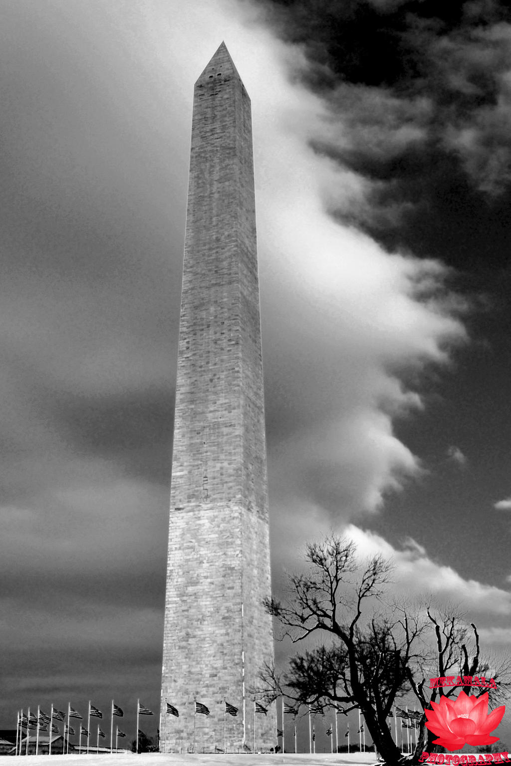 Washington Monument 2