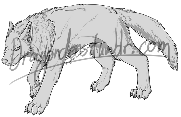 Wolf Template by Kroton on DeviantArt