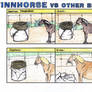 Finnhorse vs Other Breeds 1