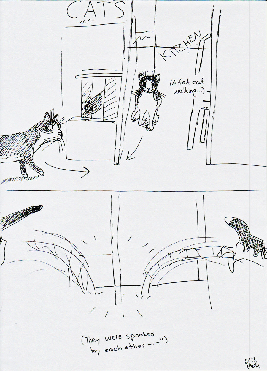 CATS, no.1