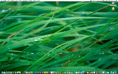 My Desktop on my Mac
