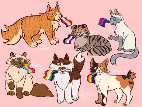 gay cats