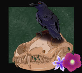 The Raven's Perch