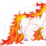 Rapidash, after rapid growth.