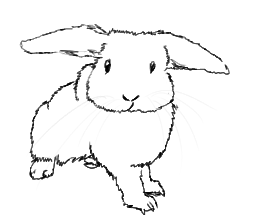 Bunbun 4