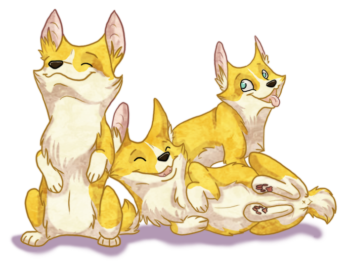 Corgis