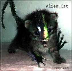 Alien Cat