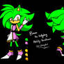 OC - Reference : Breeze Aero The Hedgehog