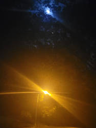 Streetlight and Moonlight