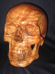 Carved wood skull in Camphor