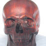 African Padauk Human Skull Sculpture