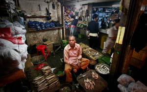 penjual ikan