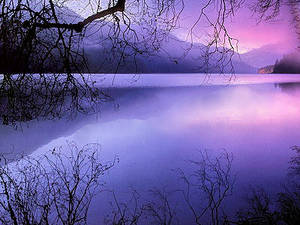 Lake Indigo by CoWin