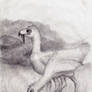 Killing giant Birds Sketch