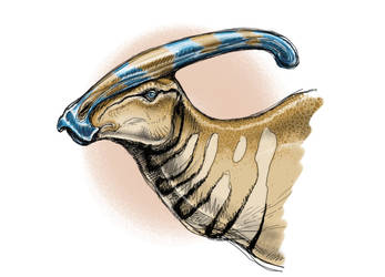 Parasaurolophus sketch
