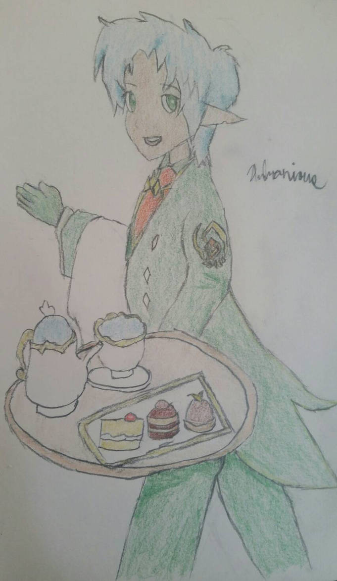 Vist Elf Butler (evolved) Colored Version. by Andronious on DeviantArt