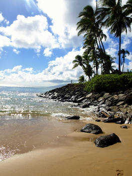 Aloha Maui