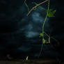 Futile Imagination