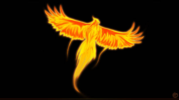 Phoenix 1st version