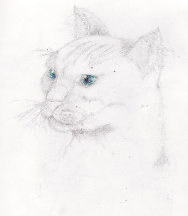 A White Cat Shading Practice