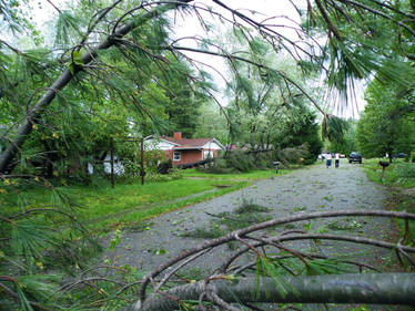 Storm Damage May 2009 02