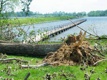 Storm Damage May 2009 05