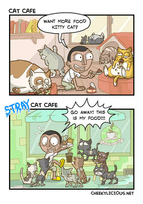 Cat cafe