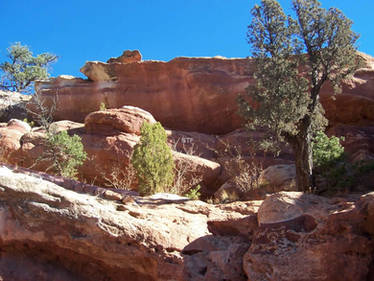 Close View of Rock Formation