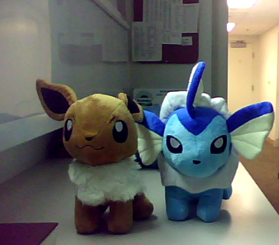 MAH EEVEE TOYS CAME.