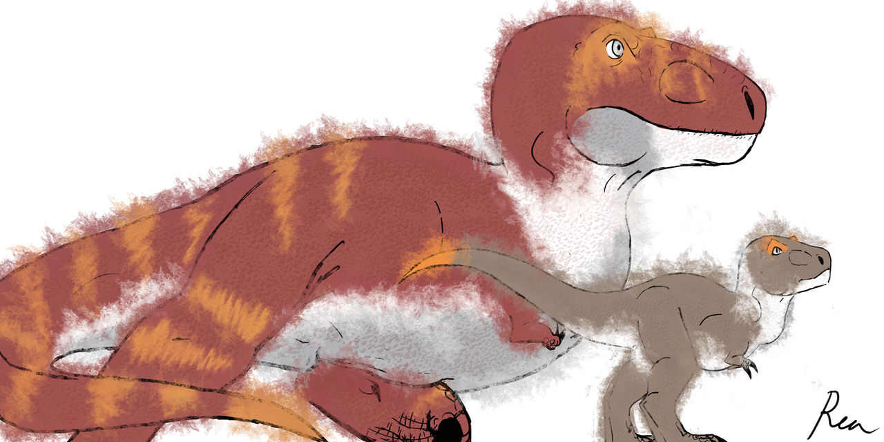 Pokemon Rexes