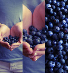 Blueberries