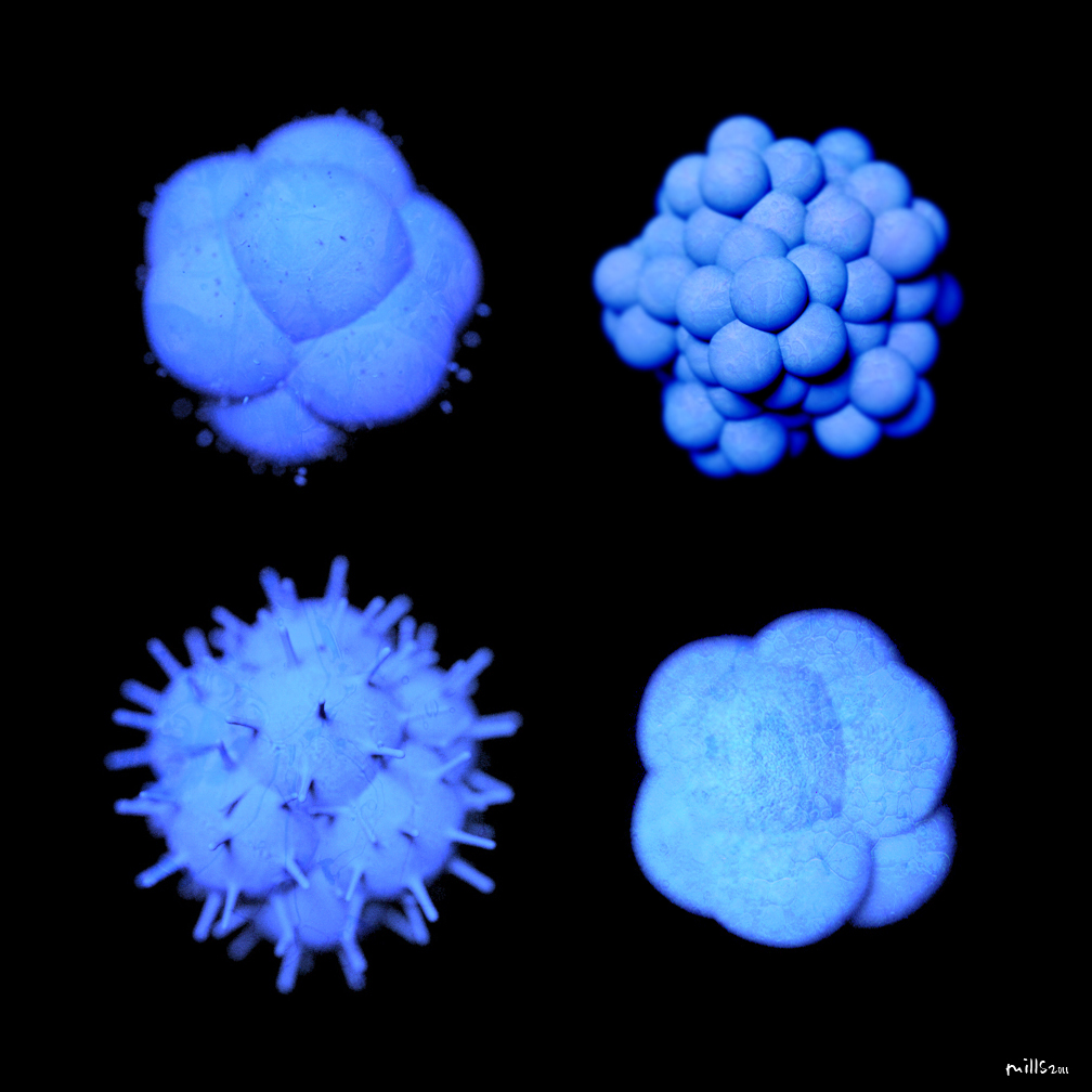 Exosome Concepts