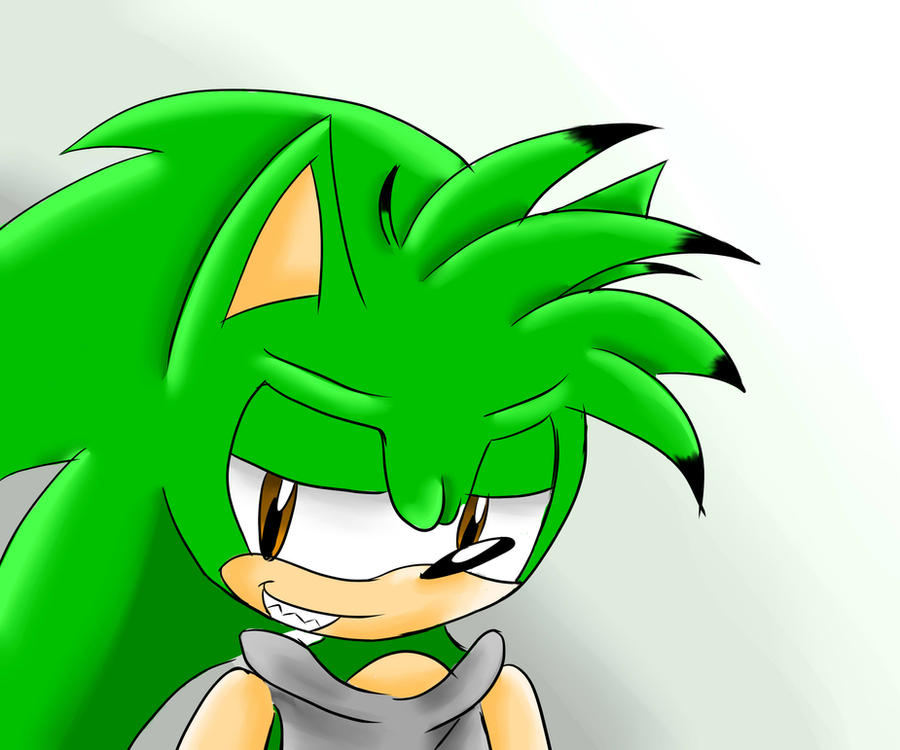 Shane Vector Shane the Hedgehog by TheInesxD on DeviantArt