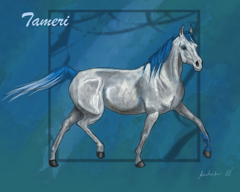 Tameri by DA-Horse-Herd on DeviantArt