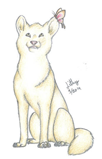 Nina Ref By VirtualLithy On DeviantArt