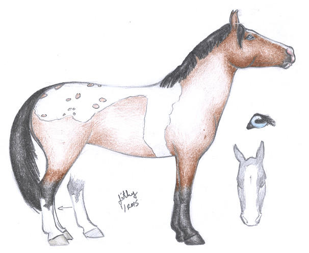 IVS Top Model Ref By VirtualLithy On DeviantArt
