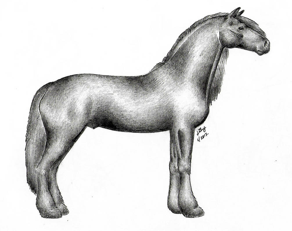 Friesian Stud By VirtualLithy On DeviantArt
